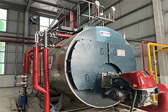 河南南陽化工廠WNS4-1.25-Q燃?xì)庹羝仩t