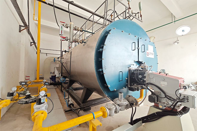 某集團印尼塑膠廠WNS6-1.6-Y(Q)燃氣蒸汽鍋爐  YYQW2100*2燃氣導(dǎo)熱油鍋爐